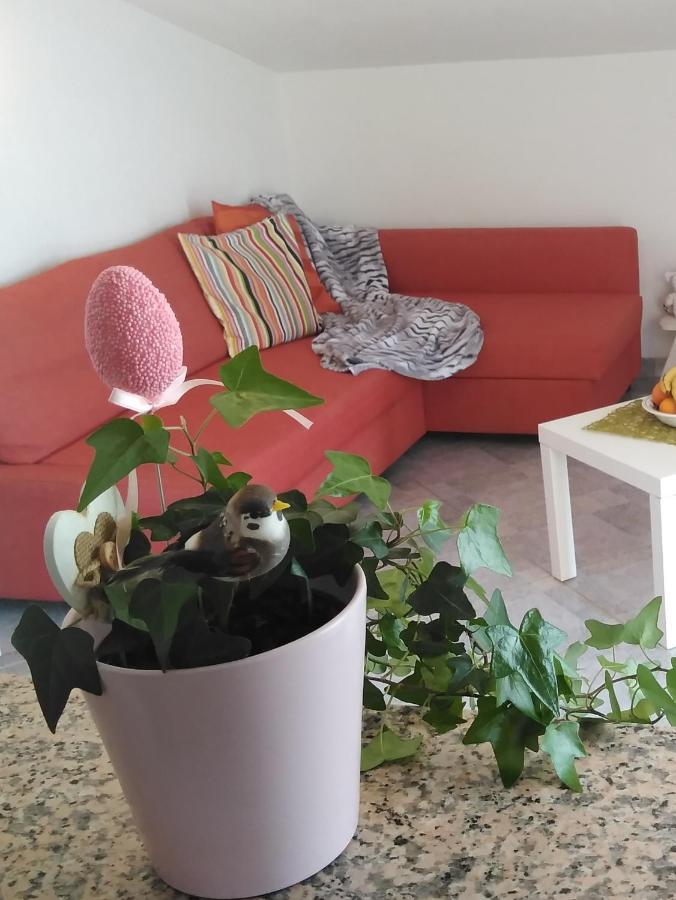 Apartments Nina 拉维尼 客房 照片